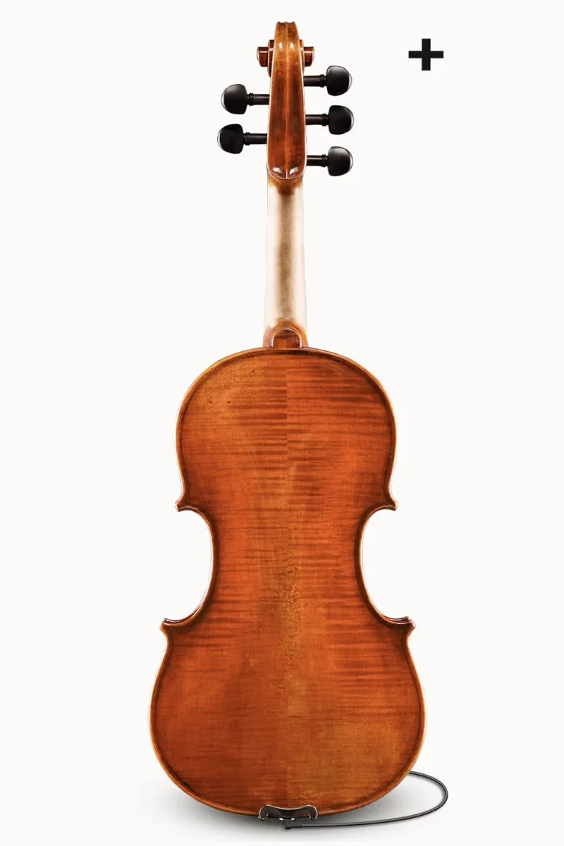 ヴァイオリン　Raymond Passau　2004年製 Frederich Wyss VL703 By Eastman For Sale — Vermont Violins